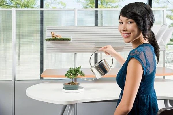 beverage Pour spouts