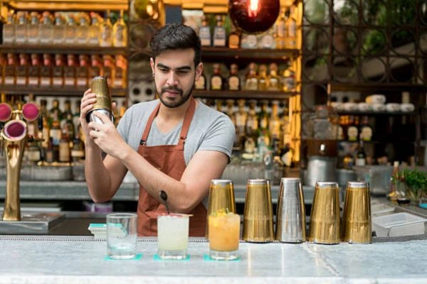 beverage quality bar shakers