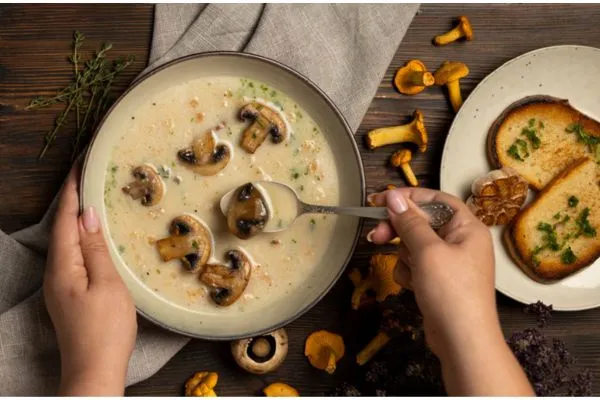 Dinner menus mushroom Bourguignon